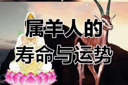 1967年属羊男2025年运势及运程 1967年属羊男2025年运势详解运程走向与关键转折点