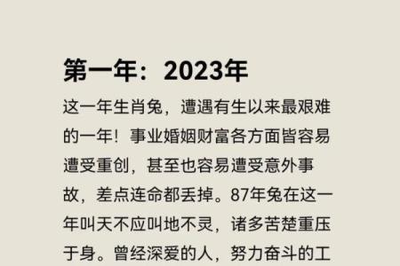 2025年属兔1963人的全年运势_属兔人2025年运势及财运