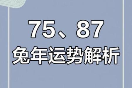 2025年属兔人全年运势详解87年兔年运程大揭秘