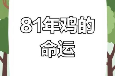 81年属鸡女2025年运势_81年属鸡女2025年运势和财运