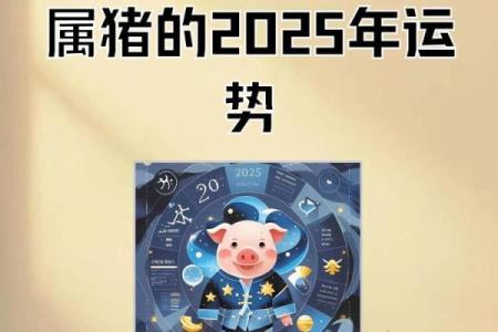 2025年1995属猪人的全年运势_2025年属猪人全年运势详解事业财运健康全解析