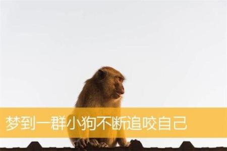 梦见狗是什么意思