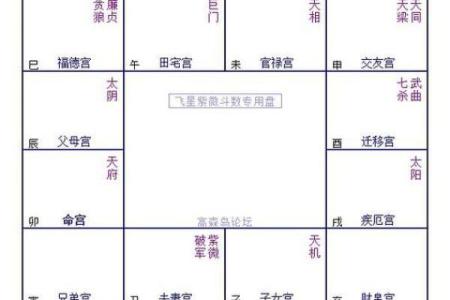 夫妻宫对宫是哪一宫_夫妻宫对宫解析揭秘婚姻运势的关键宫位