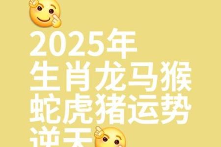 2000年龙在2025年运势 2000年属龙人2025全年运势大解析