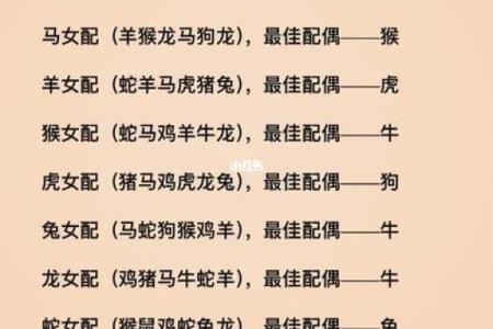 前方凶险是什么生肖