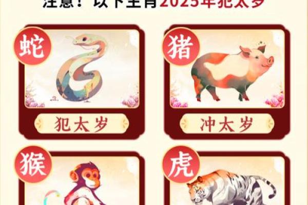 面目全非是什么生肖(面目全非是指什么生肖)