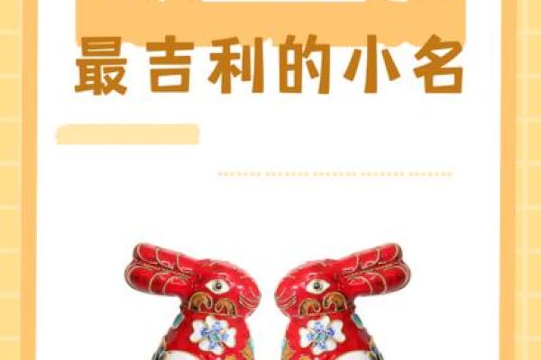 属兔的2020什么时候开门吉利