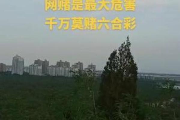 倚马千言打一个生肖