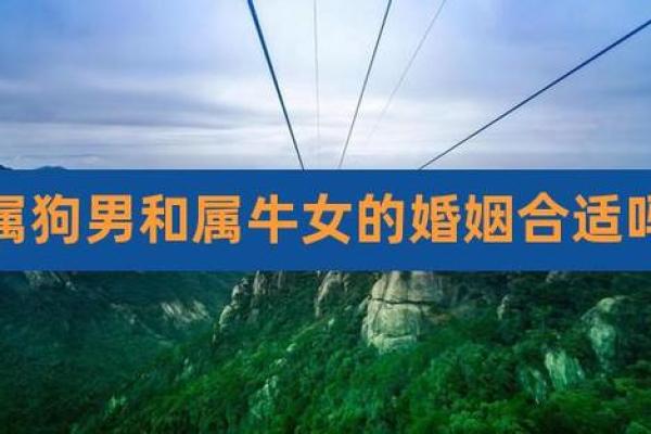 属狗男与属羊女婚配好不好 属狗男和属羊女合得来吗