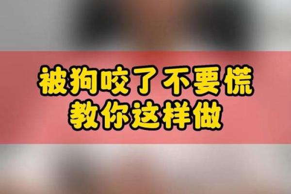 梦到被够狗咬是什么意思 梦到被够狗咬是什么意思