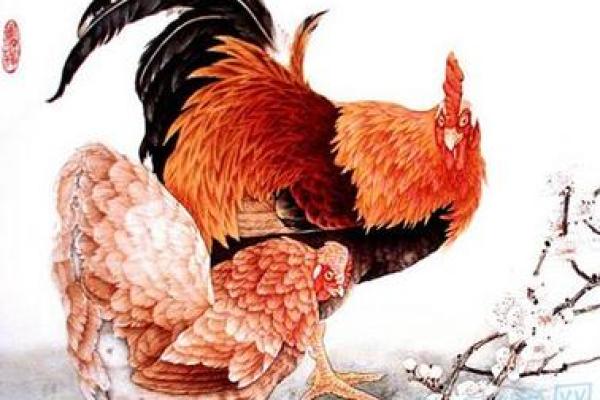 1981年属鸡2025年的每月运程_1993年属鸡的运势及运程 1981年属鸡2025年的每月运程_1993年属鸡的运势及运程