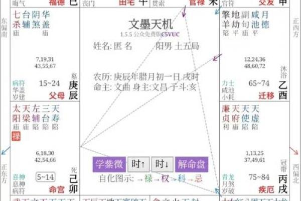 财帛宫太阳旺_财帛宫太阳旺禄