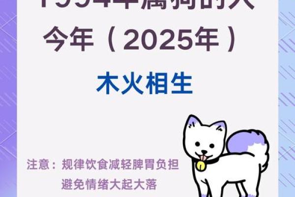 2030年属狗是什么命 1982年属狗2025年运势完整版