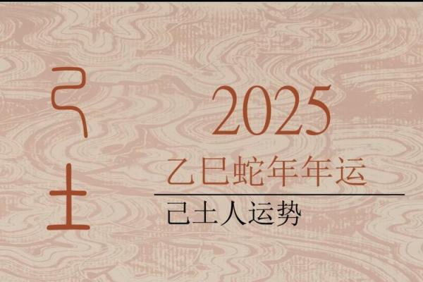 兔年运势2025年运程 2025兔年运势详解全年运程预测与开运指南 兔年运势2025年运程 2025兔年运势详解全年运程预测与开运指南