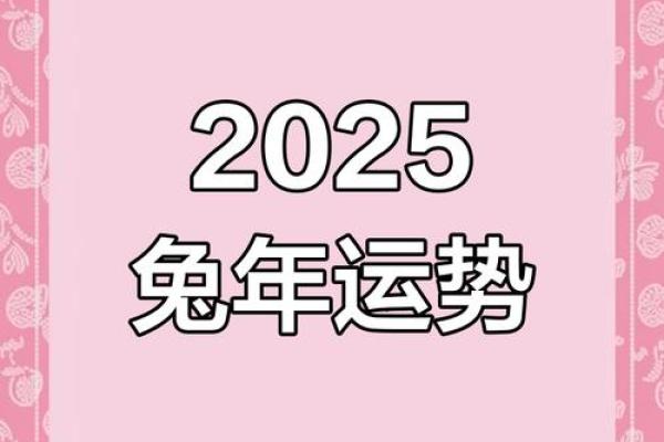 属兔2025 属兔2025年的婚姻怎么样呢