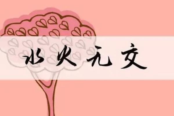 水火不容是什么生肖(水火不容是什么生肖数字代表)