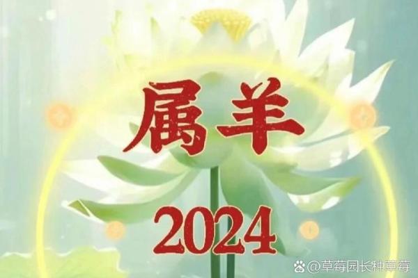 1979年2024年属羊人的全年运势_属羊人在2024年全年运势运程