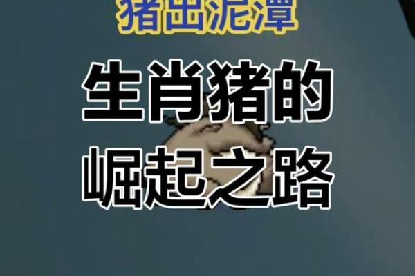 2024属猪要出大事_2024年属猪人运势大揭秘重大事件即将来临
