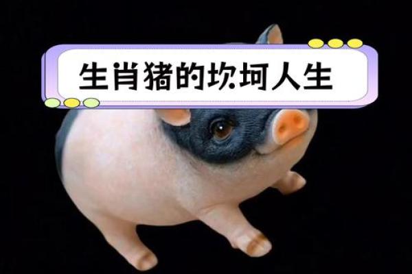 83年属猪人2025年幸运色_83年属猪25年运势