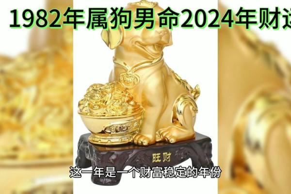 1982年属狗今天财运_1982年属狗今天财运如何