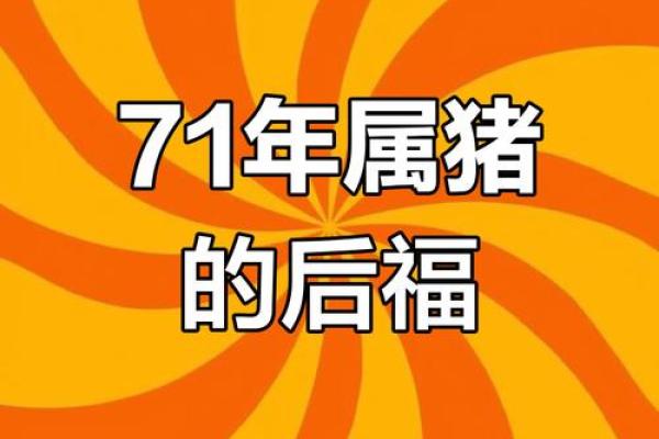 1971年男猪2025年运势完整版_1971年属猪男未来十年运程