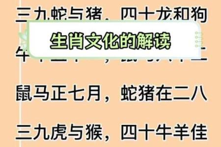 表里不一的动物是什么生肖