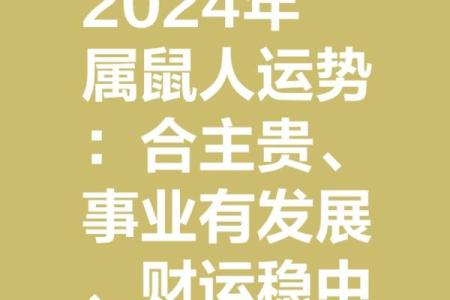 2023年属鼠人的全年运势
