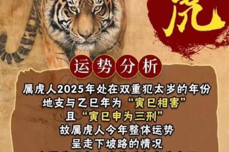 属虎2022年的运势