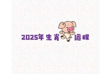 2025年属猪的年龄 2025年属猪人年龄解析运势与人生阶段全揭秘