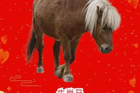 2025属马的幸运色和吉祥色_属马最旺的三个颜色