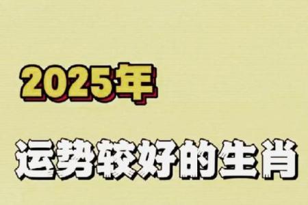2025年属鸡的命运_2025年属鸡人命运解析运势走向与关键转折点