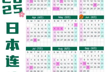 2025年是什么日子