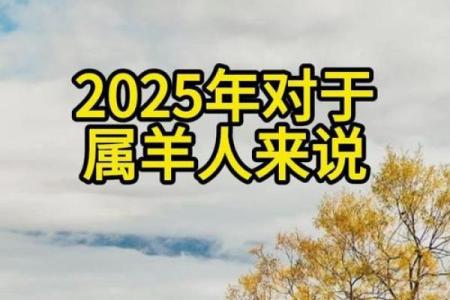 1979年男2025年属羊男全年运势_1979年属羊人2025年运势及运程