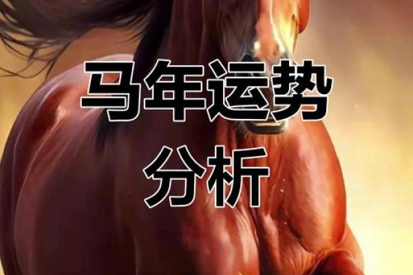 属马人2024年全年运势_属马人2024年全年运势运程