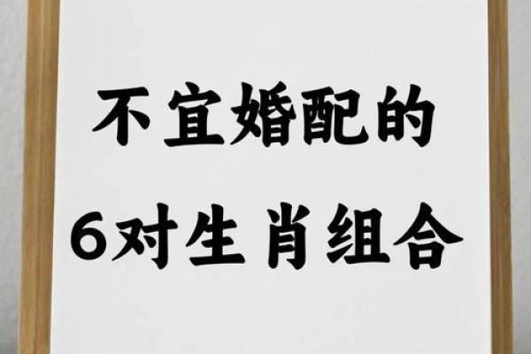 无家可归打一生肖 无家可归打一生肖