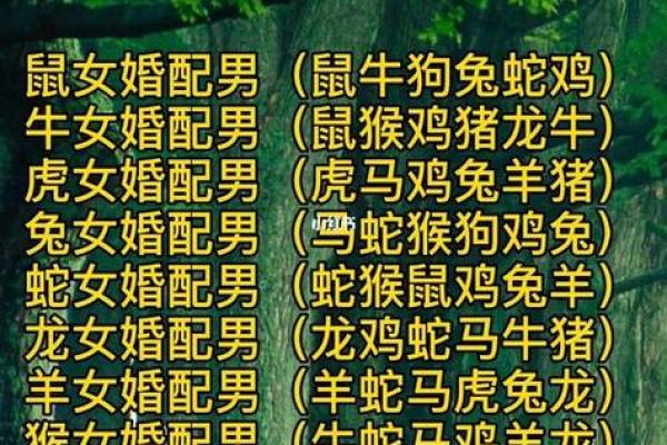 男鸡女狗属相相配吗_男鸡女狗属相相配吗揭秘生肖配对最佳组合