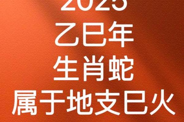 属马2025本命年运势_属蛇2025本命年运势女