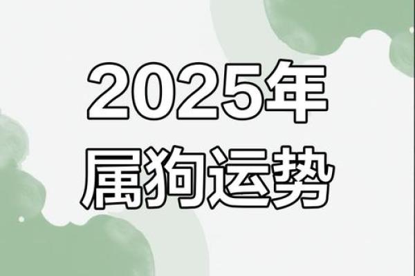 1982年属狗2025年运势详解事业财运健康全解析 1982年属狗2025年运势详解事业财运健康全解析