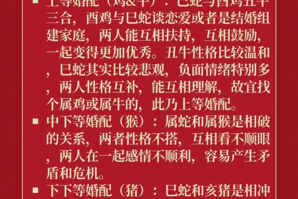 女属蛇比男属鸡大4岁 鸡遇蛇必有钱