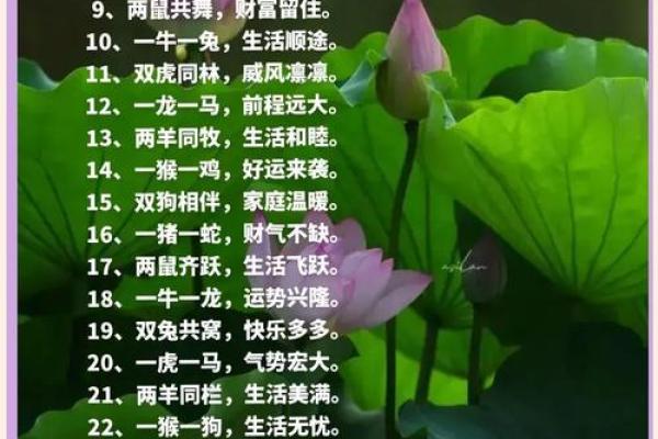 花开回春又一年是什么生肖