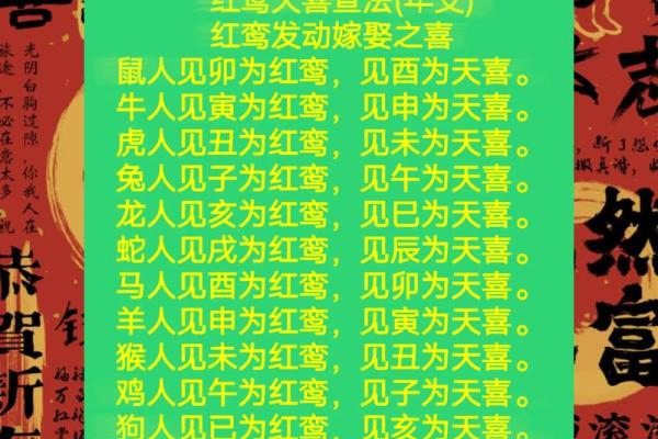 属狗2025年遇天喜 属狗2025年天喜星降临运势大爆发 属狗2025年遇天喜 属狗2025年天喜星降临运势大爆发