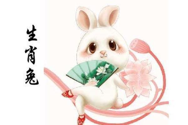 属兔人今天运势和财运_属兔人今天运势和财运20241月28号出生