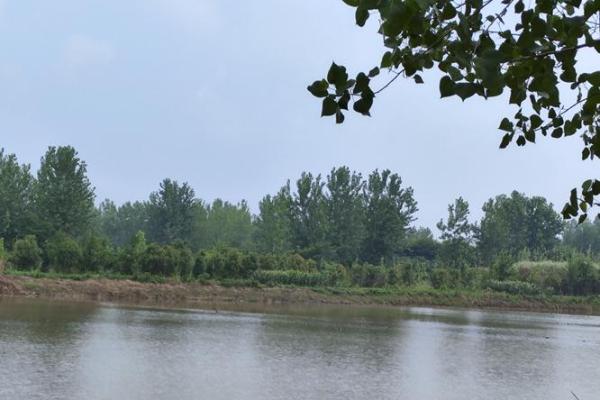 川流不息打一个生肖(川流不息打一个生肖动物)