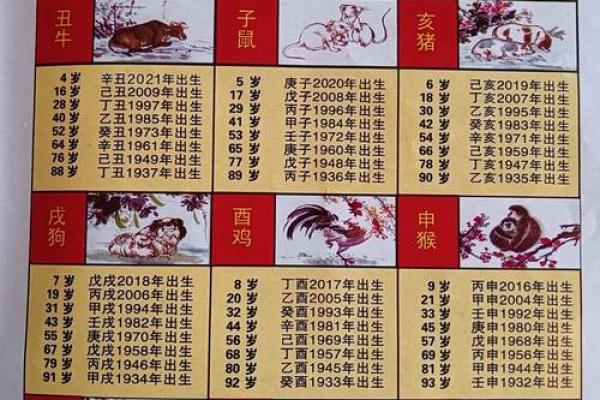 鸡属相年份对照表 2024年鸡属相年份对照表全面解析生肖鸡的运势与特点