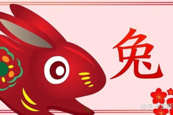 75属兔的今年每月运势怎么样_2023年75属兔每月运势详解全年运程大揭秘