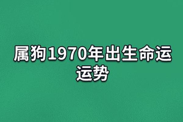 2025年1970年属狗男全年运势_70年属狗55岁大劫难 2025年1970年属狗男全年运势_70年属狗55岁大劫难