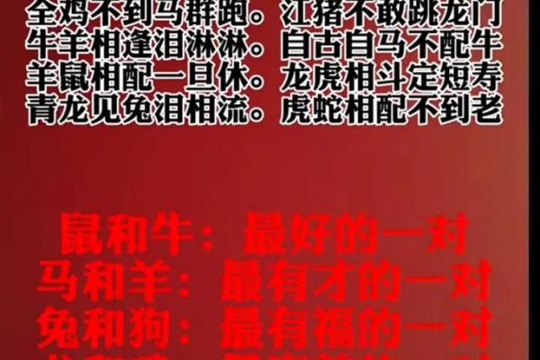 羊男女牛属相配吗_羊男和牛女在一起后果