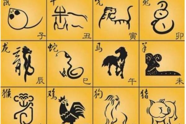 小康人家是什么生肖