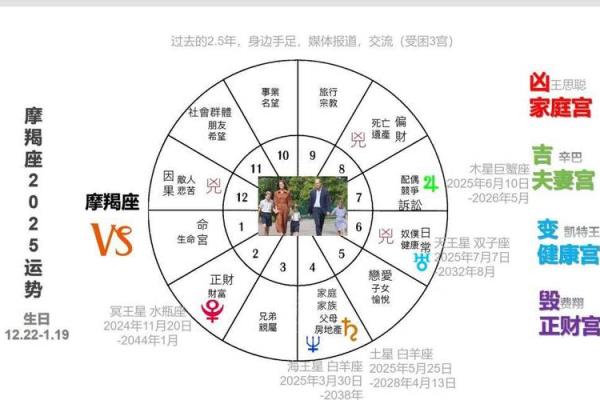 2025年星座每日运势查询精准预测你的每一天