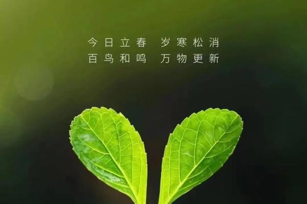 立春是特马打一个生肖